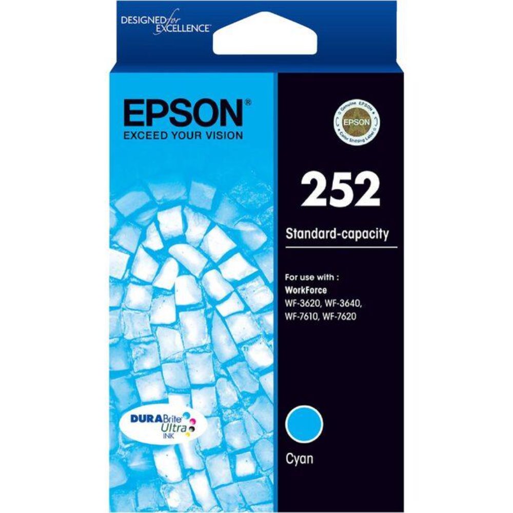 T252 Epson genuine cyan ink